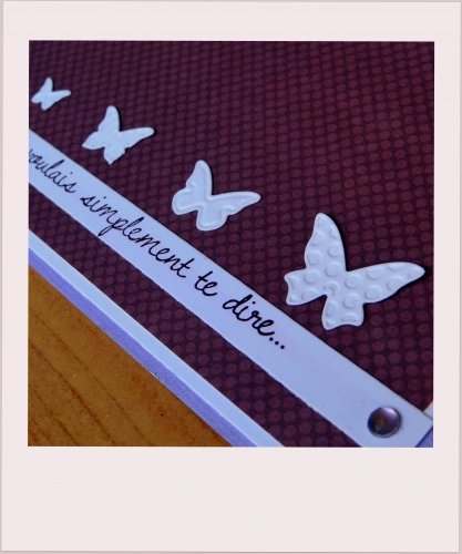 carte papillons C&S (2).JPG